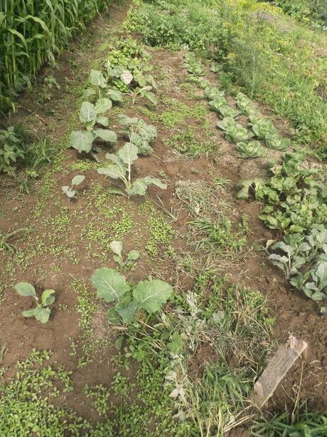 BENVENUTI NEL MIO PARADISO