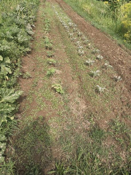 BENVENUTI NEL MIO PARADISO