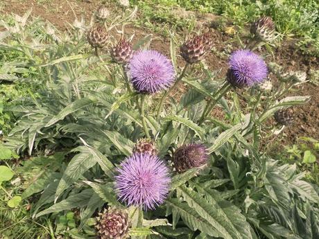 BENVENUTI NEL MIO PARADISO