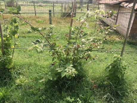 BENVENUTI NEL MIO PARADISO