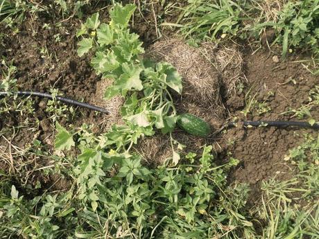 BENVENUTI NEL MIO PARADISO