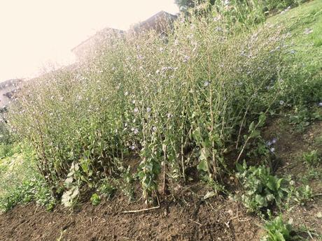 BENVENUTI NEL MIO PARADISO