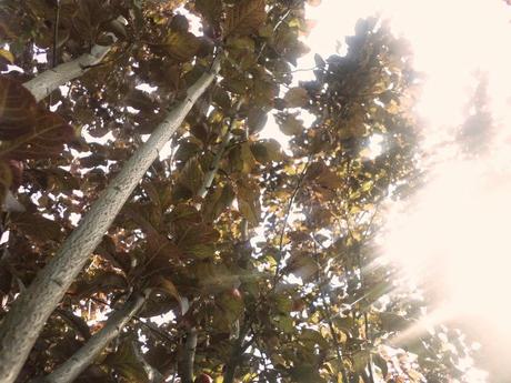 BENVENUTI NEL MIO PARADISO