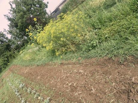 BENVENUTI NEL MIO PARADISO