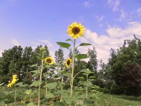 BENVENUTI NEL MIO PARADISO