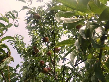 BENVENUTI NEL MIO PARADISO