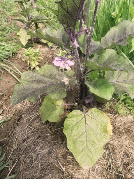 BENVENUTI NEL MIO PARADISO