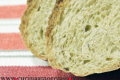 Pane allo yogurt con pistacchi