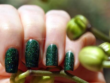 [Holothon 2.0]#2 Picture Polish Kryptonite