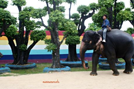 Il Nong Nooch Garden di Pattaya: per grandi e bambini