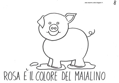 il libro dei colori