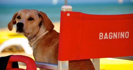 spiagge per cani in sicilia