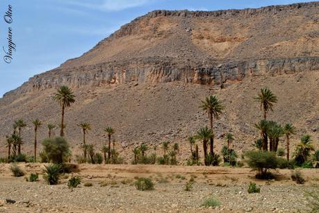 Visitare il Marocco: le incisioni rupestri di Ait Ouazik