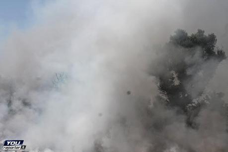 Vasto rogo presso campo Rom Via di Salone lo scorso 22 giugno. Ma se i pompieri intervengono per domare le fiamme vengono presi a sassate