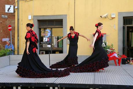 flamenco in piazza del Popolo, foto repertorio