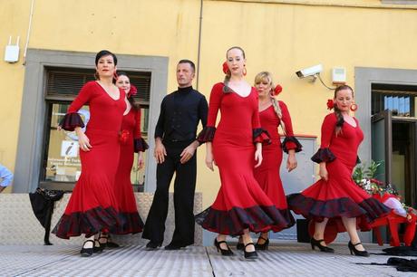 flamenco in piazza del Popolo, foto repertorio