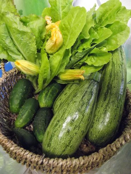 Zucchine ripiene di quinoa ed ortaggi estivi - dietetiche, senza glutine, vegan