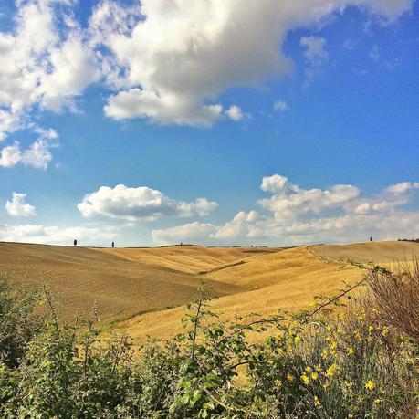 In viaggio verso Montalcino: vespa e street food