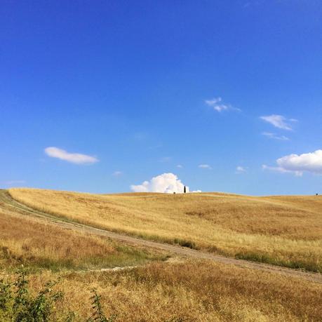 In viaggio verso Montalcino: vespa e street food