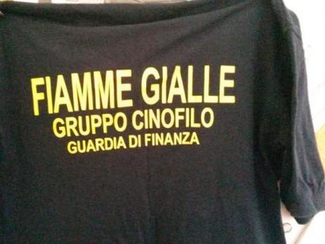 falso finanziere