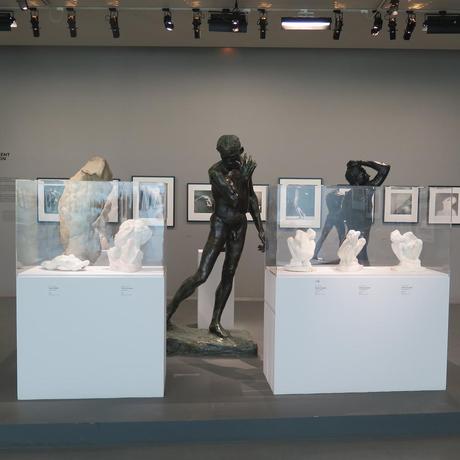 Rodin e Mapplethorpe in mostra a Parigi