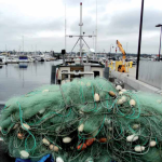 Calze fatte con le reti da pesca. Sono le Healthy Seas