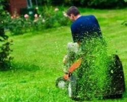 Energia pulita: biogas dall'erba di sfalcio