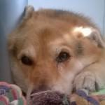 I poeti di È scrivere: una poesia dedicata alle donne Avatar Image