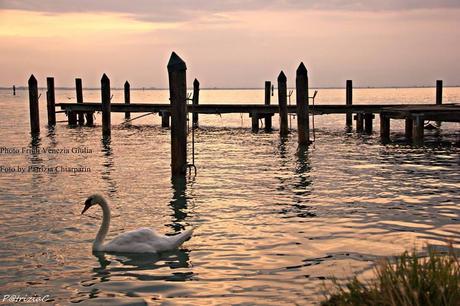 Laguna a Lignano Sabbiadoro al tamonto- by Patrizia Chiarparin