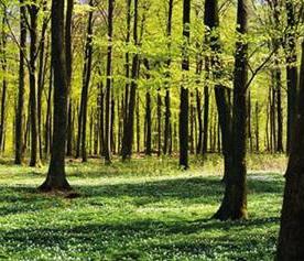 L’IMPRESA CHE FA IMPRESA: MONTEXPORT