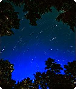 Gli astri alla tavola della Corte