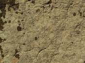 Sant'Antioco. stele-menhir regione Serra Nuarxis