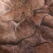 Recto|Verso – Il percorso dello sguardo