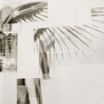 Recto|Verso – Il percorso dello sguardo