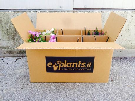 e-plants.it piante online_Prodotti in prova
