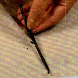 Cornetti alla vaniglia