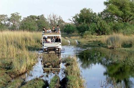 Okavango_delta_media_1388647969