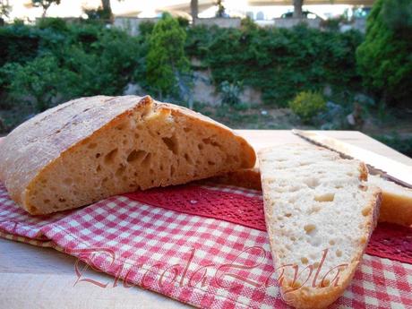 pane pasta madre (19)b