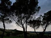 temporale, relativi danni