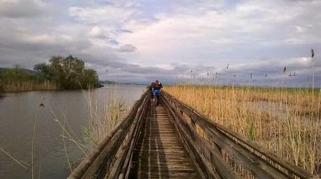 Un'oasi di natura e antiche tradizioni: il Lago Trasimeno