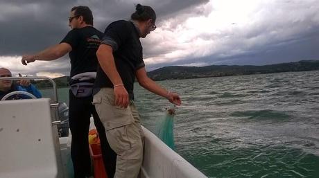 Un'oasi di natura e antiche tradizioni: il Lago Trasimeno