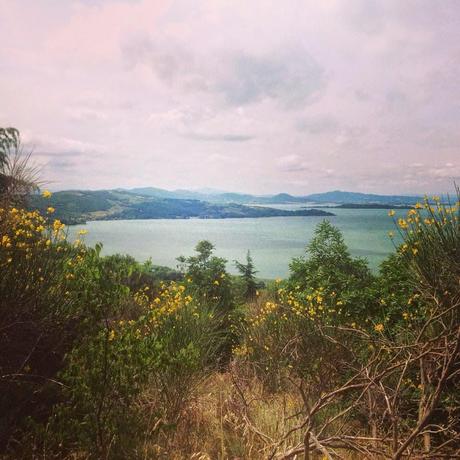 Un'oasi di natura e antiche tradizioni: il Lago Trasimeno