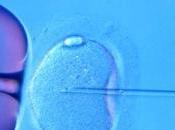 Eterologa, tutela coppie “donatori”: figli?