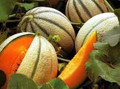 Bentornato melone