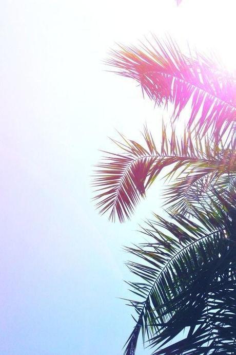That summer I never had… palm-tree