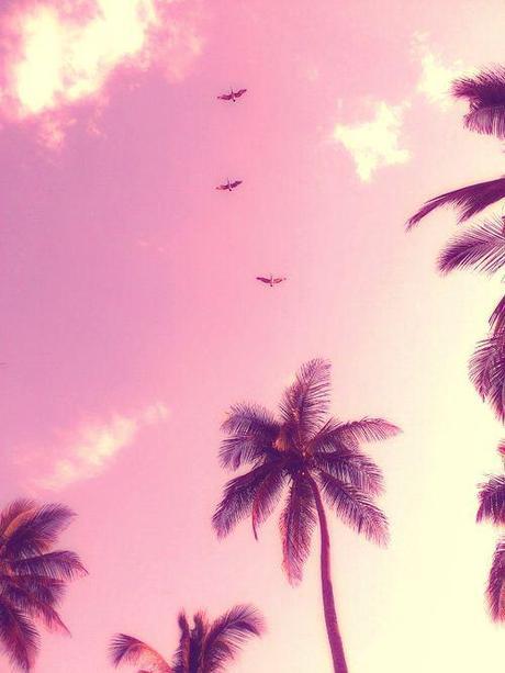 That summer I never had… palms-in-the-sky