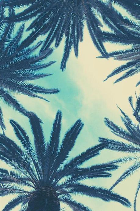 That summer I never had… palm-palms