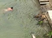 Inaugurato stabilimento balneare "Isola Tiberina". possibile acque limacciose sorci, zoccole munnezza. vediamo tutti finesettimana?