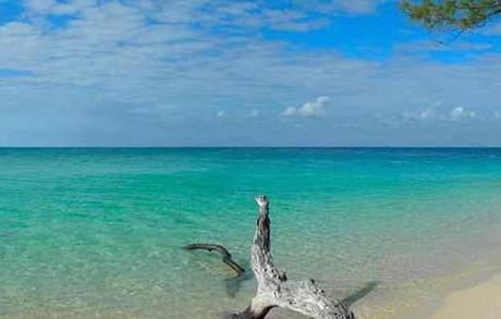 Pemba, Zanzibar: un eco-Lodge in paradiso.