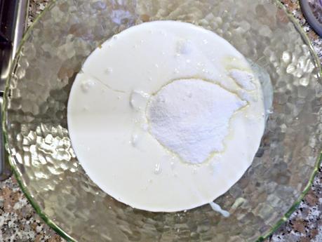 Torta fredda allo yogurt (senza cottura)